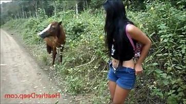 Horse Xxx Video Xvideo2 Com - Animal Girls Xxx Nude Photo Jpg From Horse Girl Xxxx Animals
